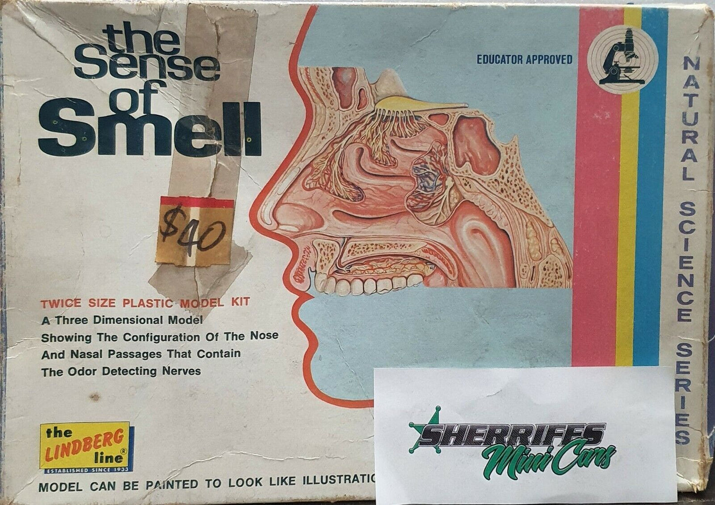 Lindberg The sense of smell model kit